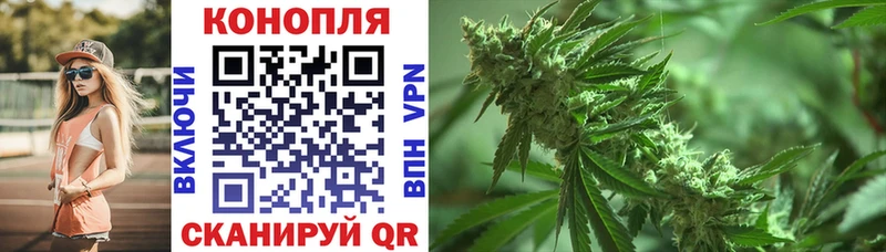 Бошки марихуана Amnesia  Новоалтайск 